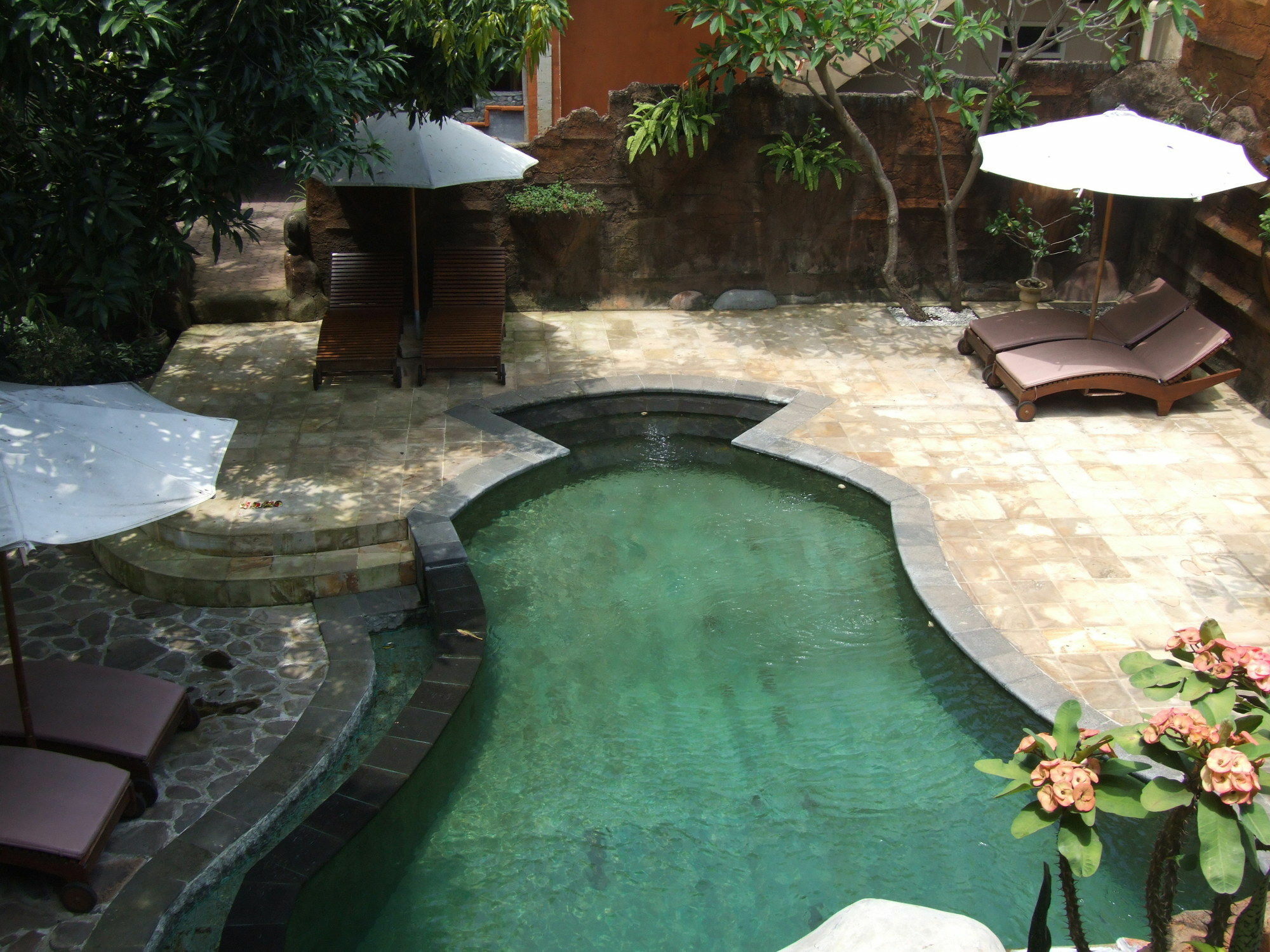 Lovina Hotel Chonos מראה חיצוני תמונה